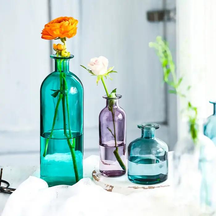 Vase à fleurs hydroponique transparent