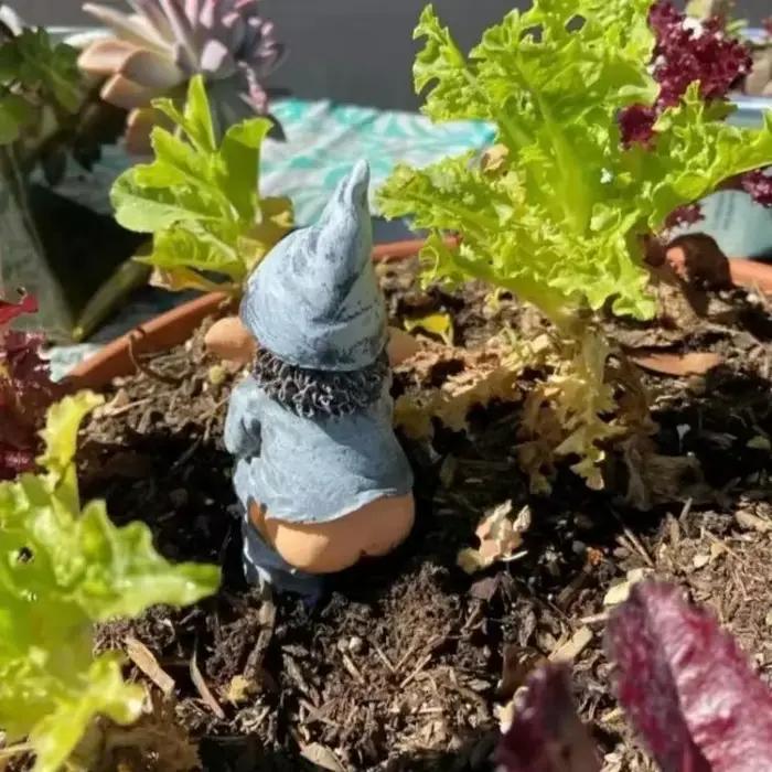 Statue de jardin familiale petite naine intéressante