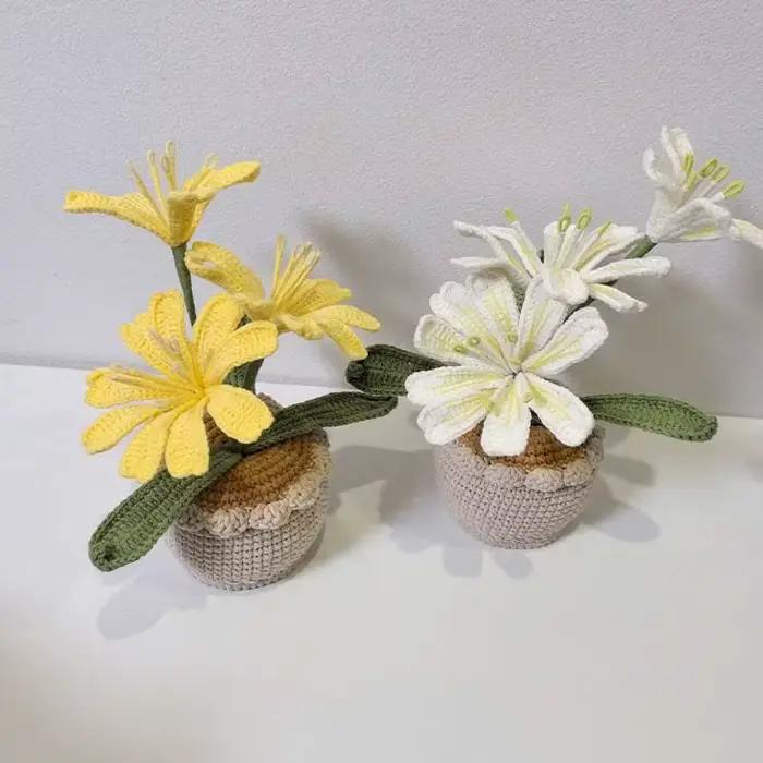 Vase à fleurs en Crochet