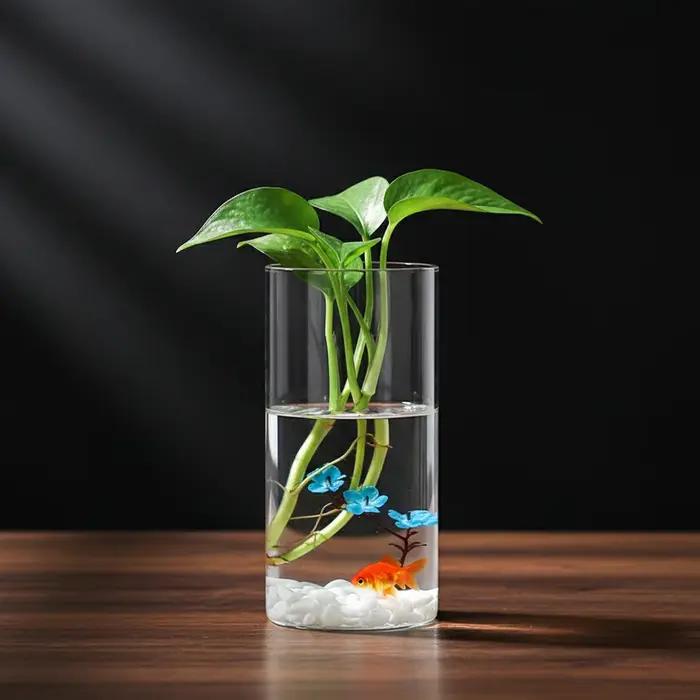 Vase en verre borosilicate pour plantes hydroponiques