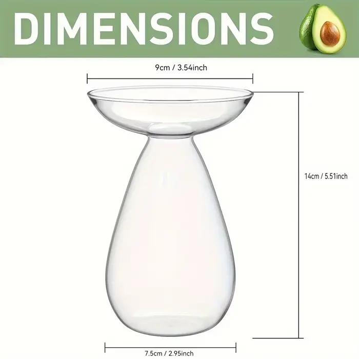 Vase transparent pour semis d'avocat, vase hydroponique en verre pour culture d'avocat, vase à fleurs pour arbre d'avocat