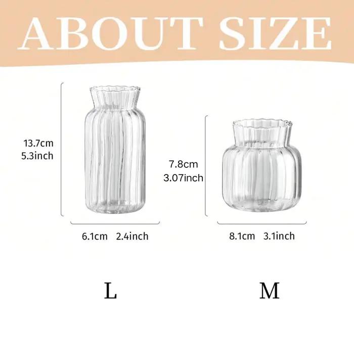 Vases transparents créatifs nordiques