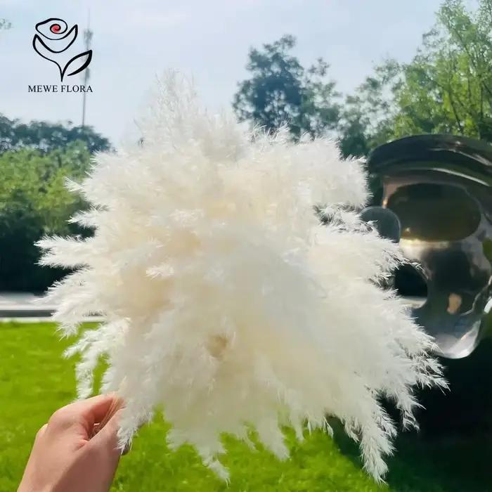 Bouquet de Pampa Blanche Naturelle vaccée