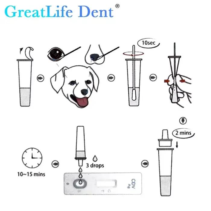 Diagnostic vétérinaire Greatlife Dent - 20 ensembles de réactifs de détection d'angence canine Parvovirus, distemper canin et félin Parvovirus