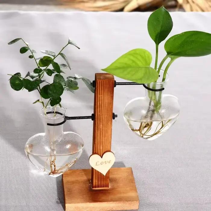 Vase en verre créatif pour plantes hydroponiques