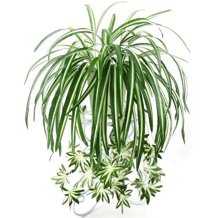 Plantes Artificielles en PVC pour Décor de Salon