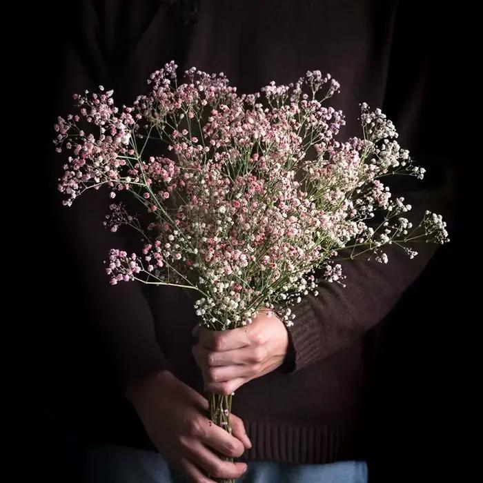 Fleur artificielle en plastique Gypsophila pour extérieur