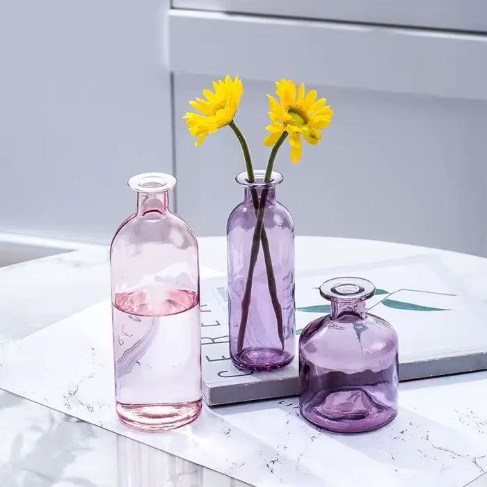 Vase en verre Transparent pour fleurs séchées, Style nordique Ins, accessoires de décoration pour la maison