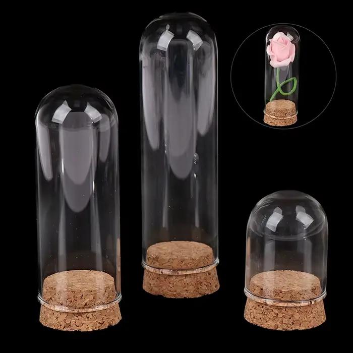 Présentoir en verre breton avec base en bois, cloche en liège, couvercle de bocal, artisanat de décoration de table, recommandé, Everche, 8cm
