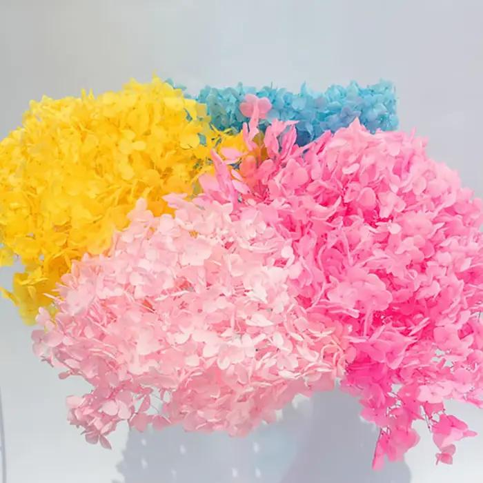 Fleurs d'hortensia séchées 20g