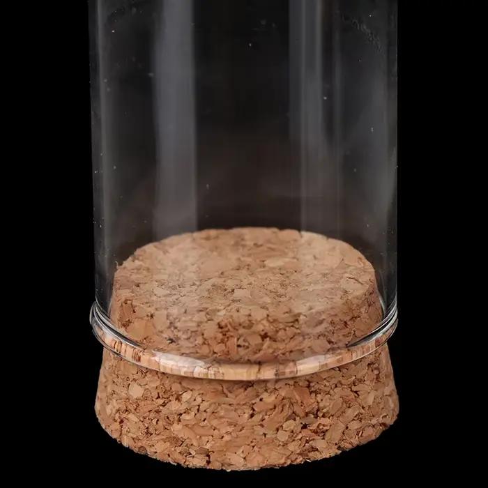 Présentoir en verre breton avec base en bois, cloche en liège, couvercle de bocal, artisanat de décoration de table, recommandé, Everche, 8cm