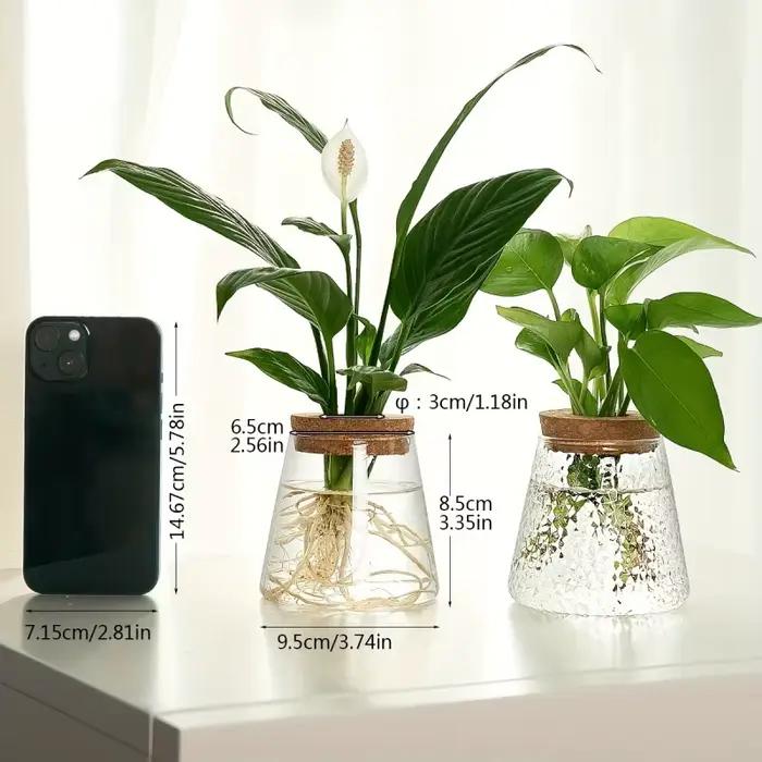 Support de plante hydroponique en verre transparent