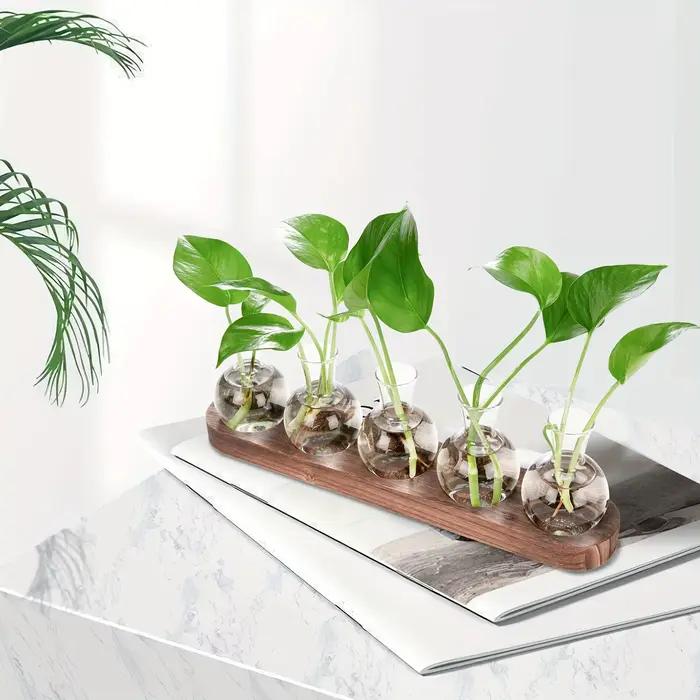 Terrarium de plantes en verre moderne avec plateau en bois – Vase hydroponique pour station de propagation intérieure