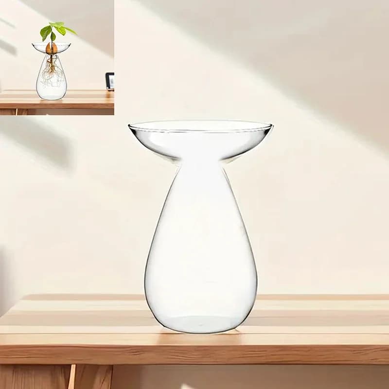 Vase en verre coloré en forme d'avocat - Jardinière hydroponique transparente pour la germination de