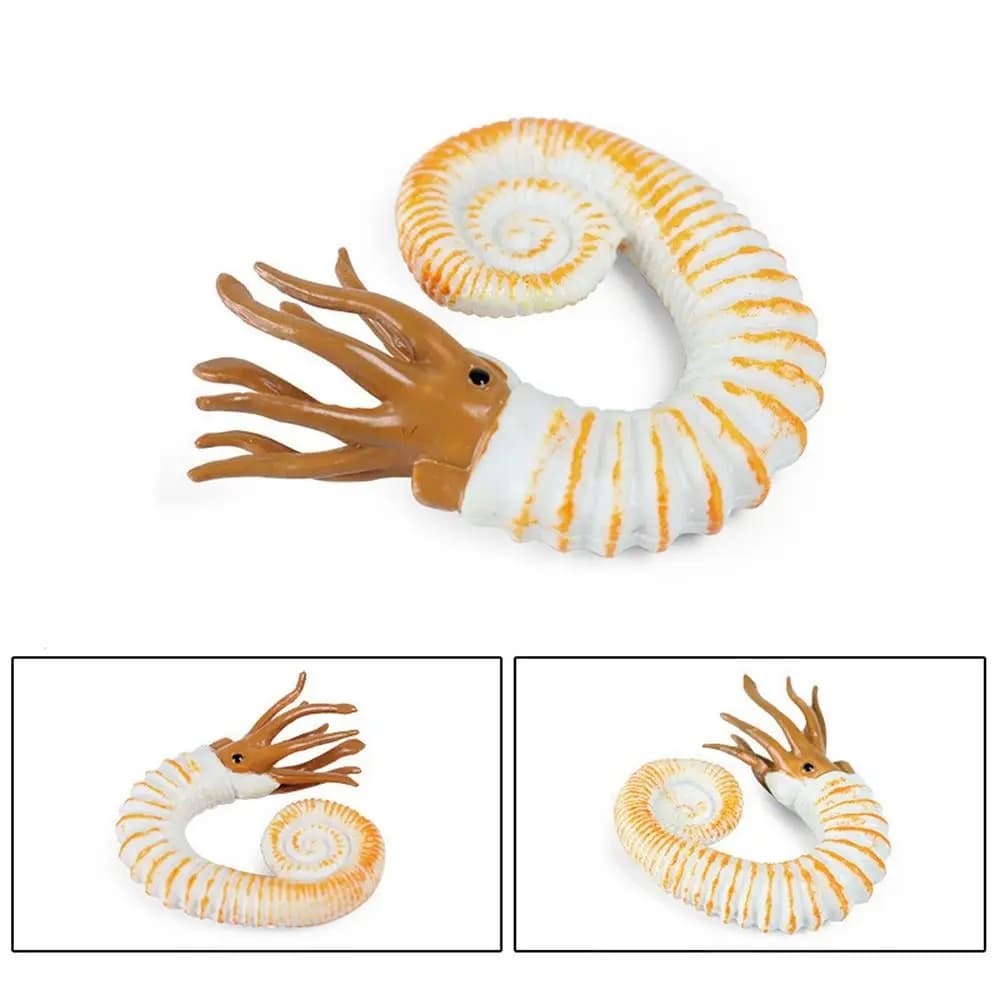 Figurine d'animal d'océan préhistorique, Simulation de Nautilus, Figurines de la vie Marine, Anomalo