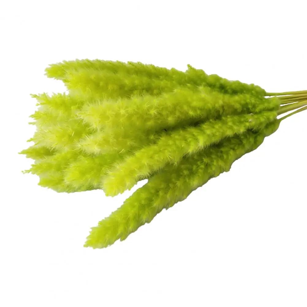 Fausse plante décorative, herbe de Pampas séchée artificielle, couleur vibrante réaliste, entretien