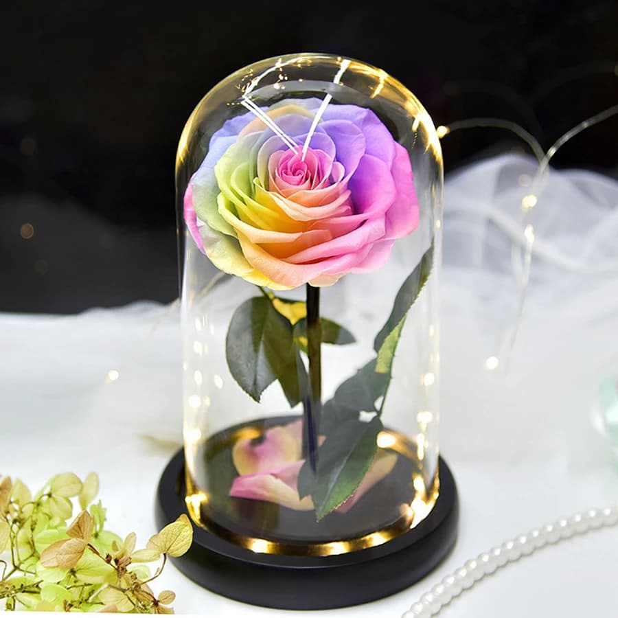 Le Petit Prince Brcorporelle avec Lumière Aide Rose Naturelle en Verre, Fleurs Éternelles de avant,