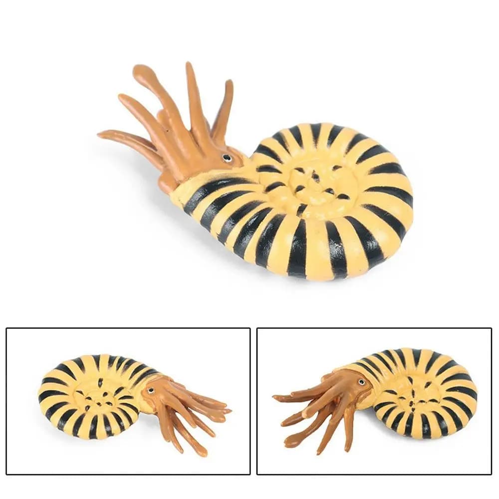 Figurine d'animal d'océan préhistorique pour enfant, simulation de vie marine, Anomalocaris, Aucklan