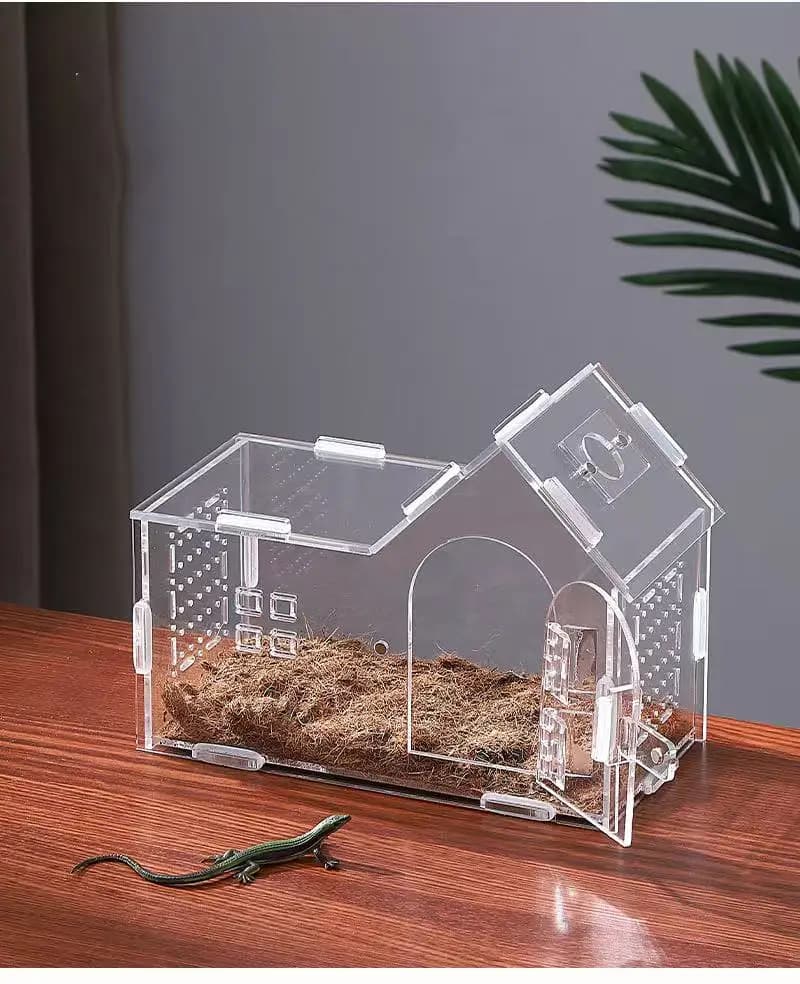 Terrarium pour reptiles en acrylique, portable, petit, boîte d'élevage pour reptiles, terrarium pour