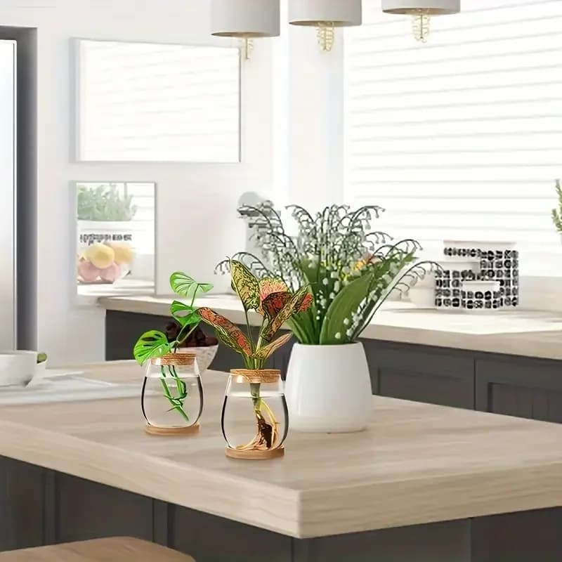 Pot en verre hydroponique - Vase de propagation moderne pour plantes d'intérieur et décoration intérieure