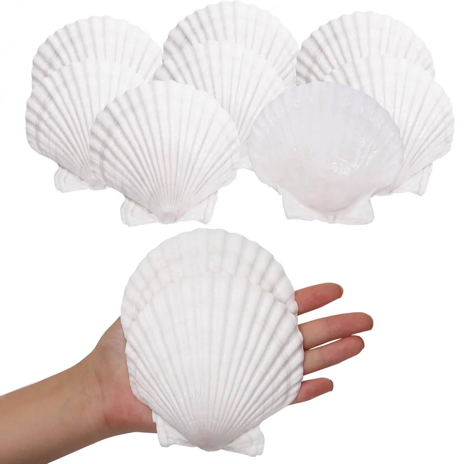 10 coquilles de pétoncle grandes, décorations graffiti DIY faites à la main, décoration intérieure, souvenirs de mariage, articles de décoration pour gîtes