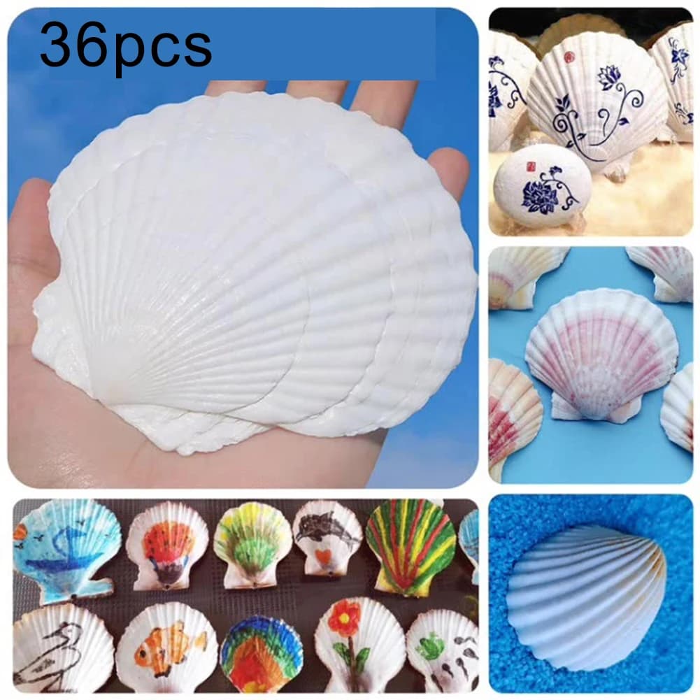 Coquilles de pétoncle blanches naturelles, 36 pièces, pour bricolage, décoration de plage et mariages, autocollants muraux Graffiti peints à la main, artisanat de décoration