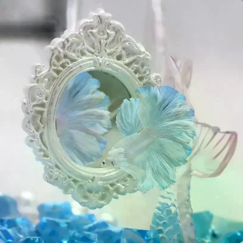 Miroir d'entraînement pour Betta