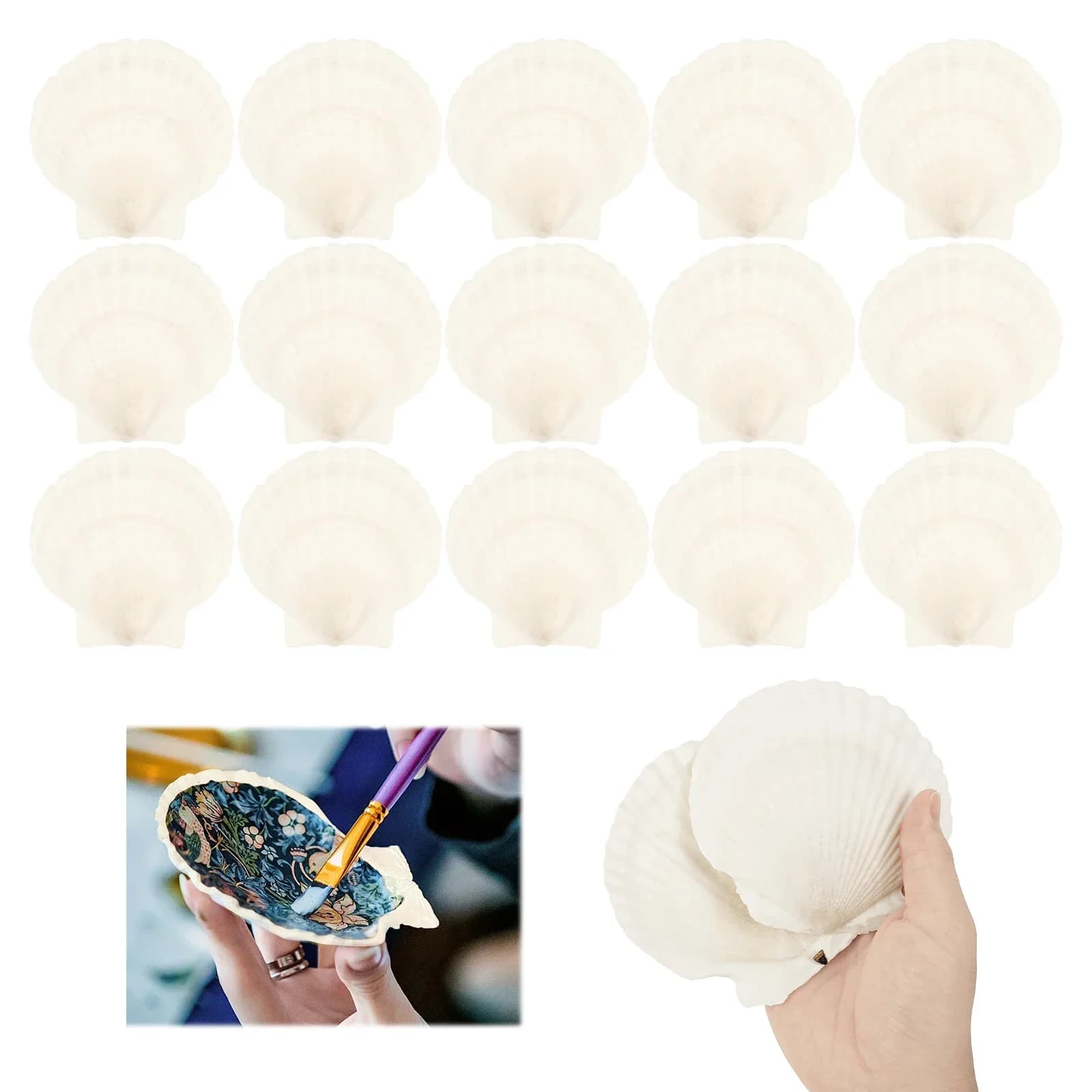 Coquilles de pétoncle naturelles, 15 pièces, artisanat, grande plage, pour la cuisson, artisanat, peinture, décoration de mariage, plage