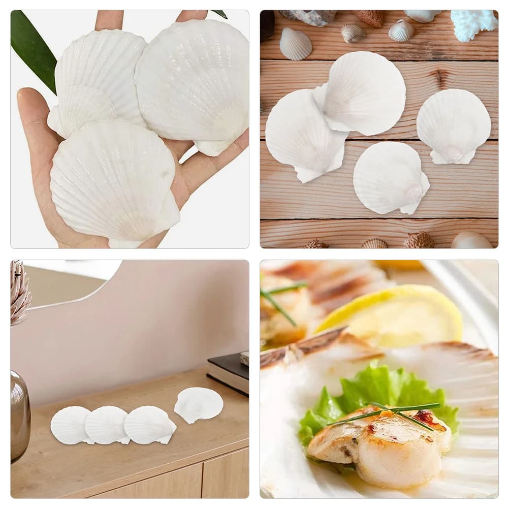 16 coquillages plats naturels, grandes coquilles Saint-Jacques, fournitures de bricolage pour la peinture, décoration de la maison, décoration de fête sur le thème de l'océan