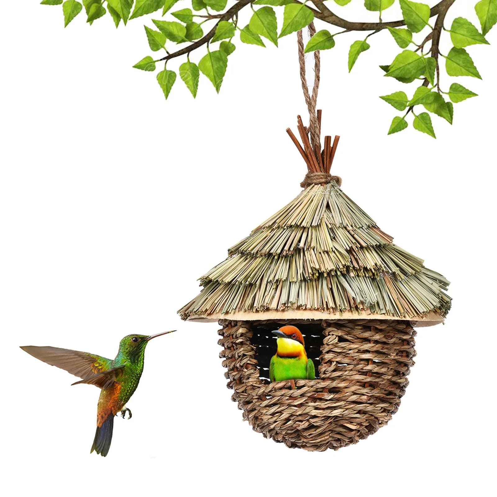 Nid d'oiseaux Cage à oiseaux herbe naturelle Cage à oeufs maison à oiseaux extérieur décoratif tissé suspendu perroquet nid maisons chambre d'animal de compagnie